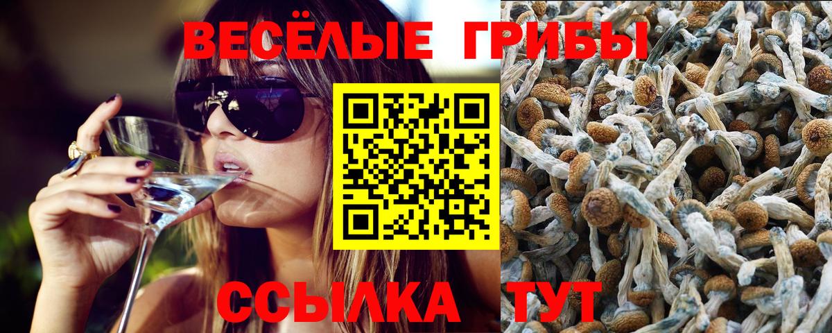 Псилоцибиновые грибы Psilocybine cubensis  Вход с VPN  Галлюциногенные грибы MAGIC MUSHROOMS  Когалым 
